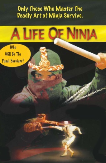 A Life of Ninja